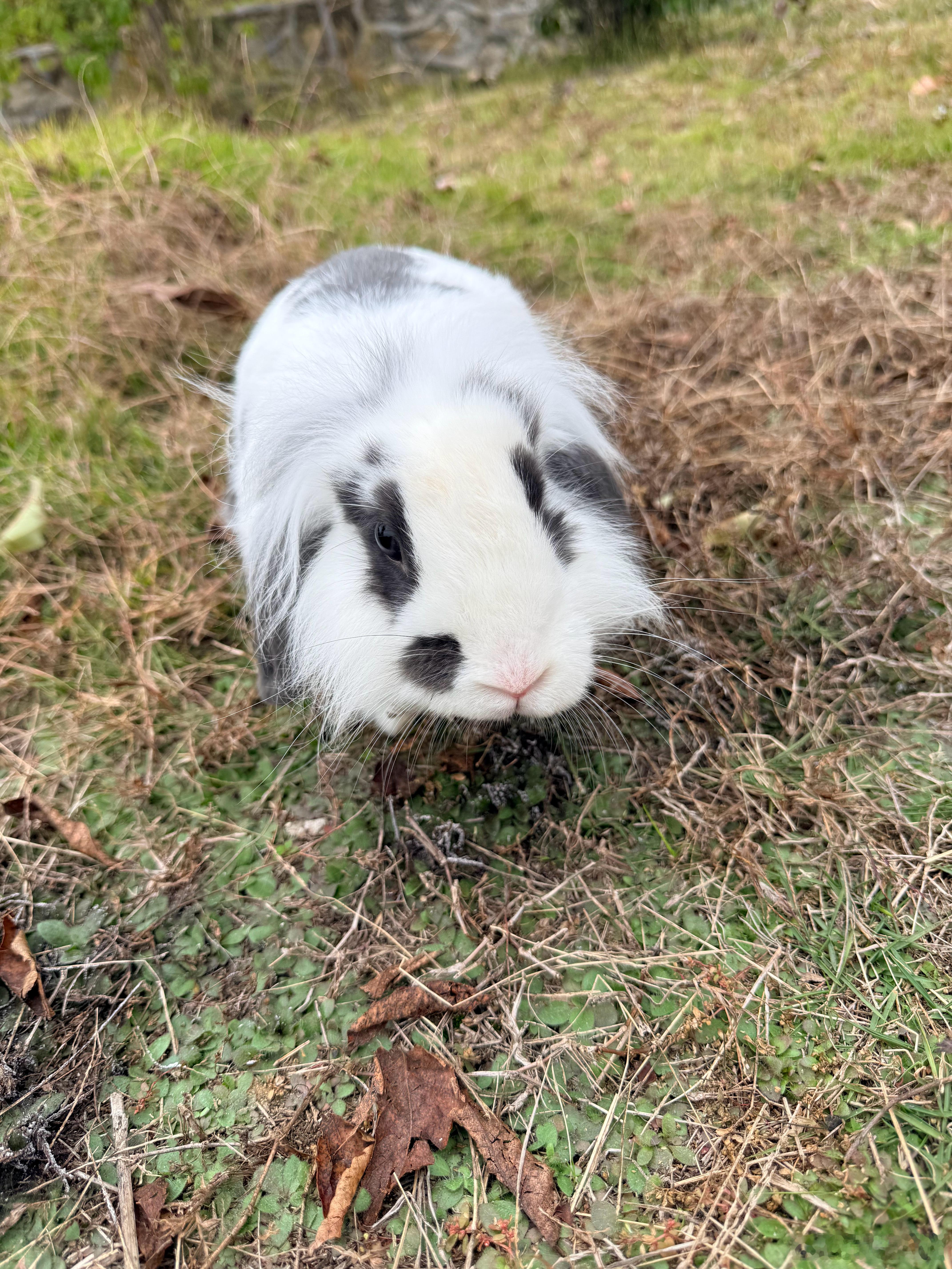 我的将军山一日游游 