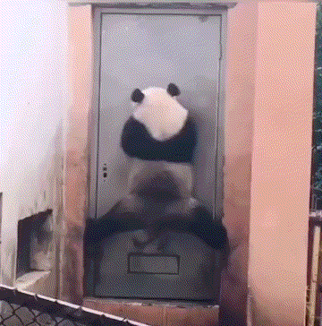 阿宝，你这是干啥呢