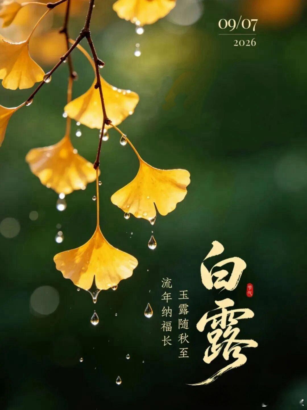 白露养生俗话说：“白露秋分夜，一夜冷一夜”，白露节气过后气温逐渐转凉，做好日常的