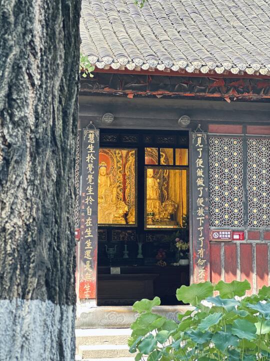 突忆起，那天在文殊院看到一位善信跪在佛前许久，她大声诉说着她的祈愿，也...