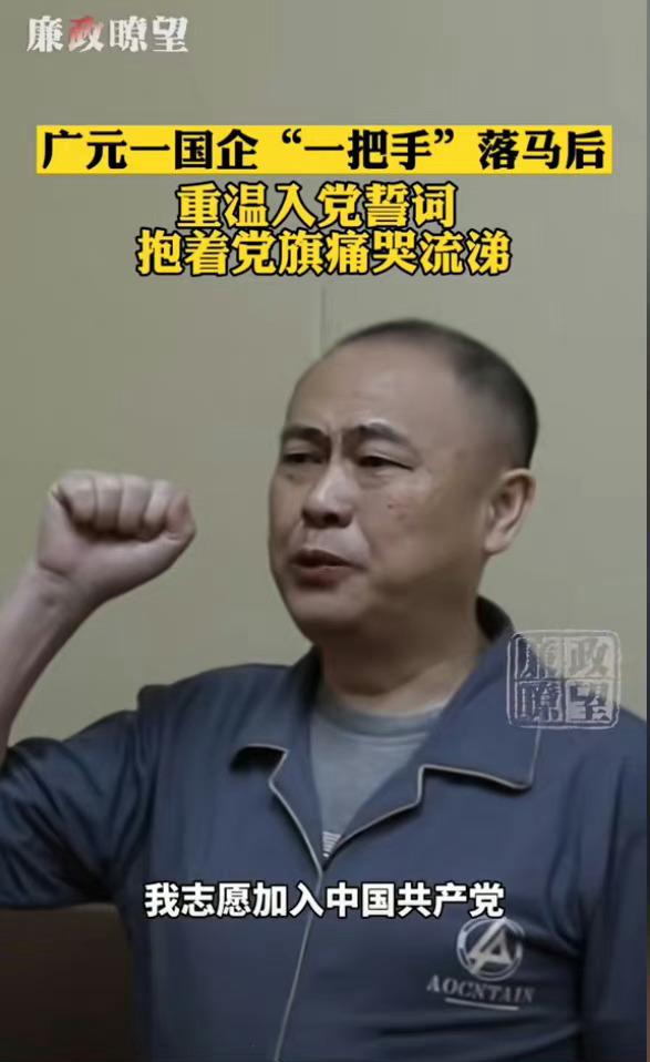 今天看到两张图片，四川广元有个领导落马后，重温入党誓词，手抚党旗做痛哭状。这是有