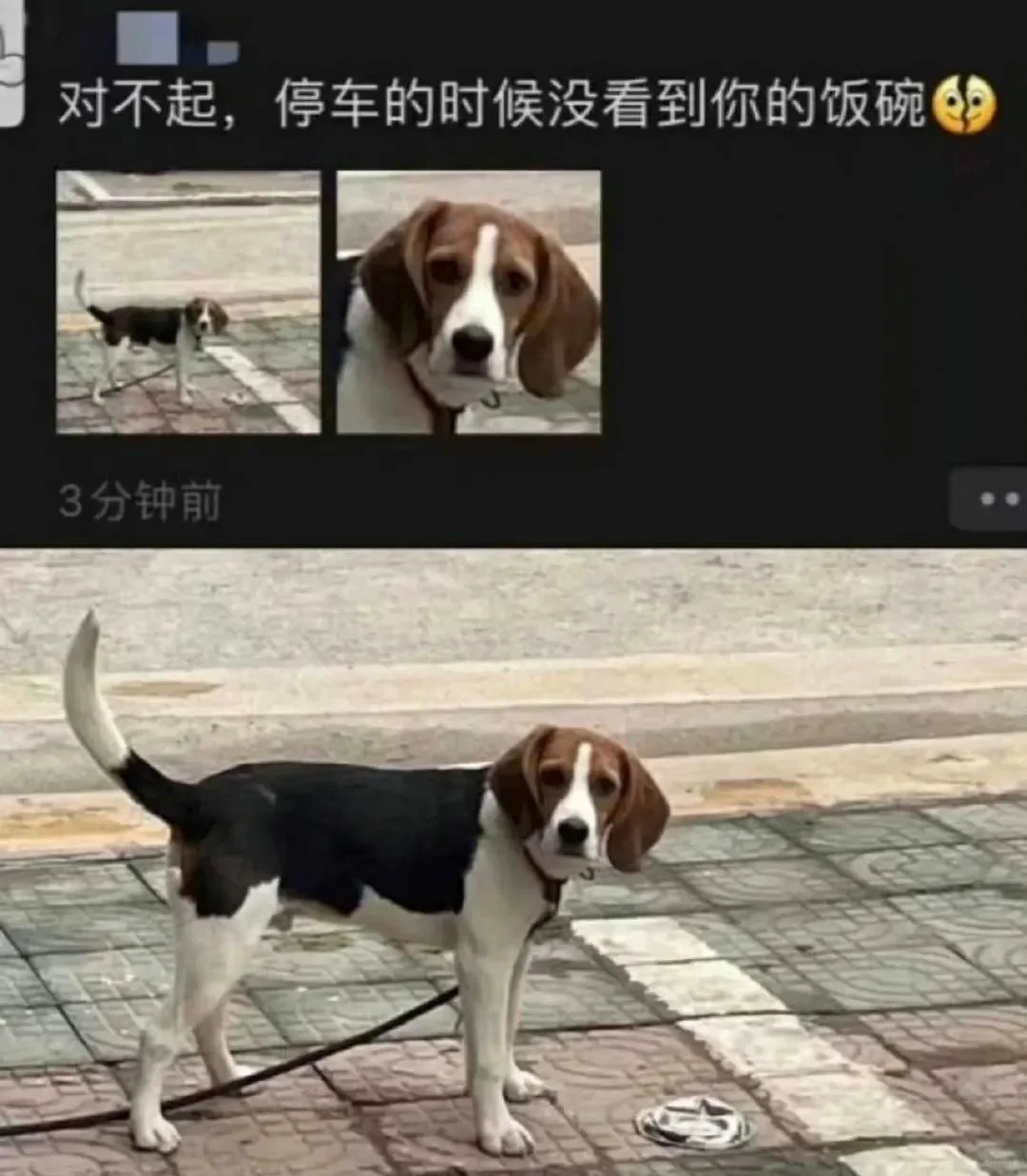 怎么办哈哈哈哈哈哈哈哈哈搞笑图片梗图合集