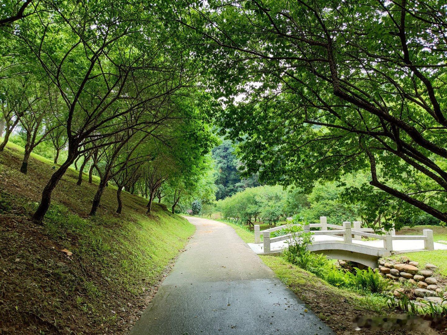 今天在暴雨前走了一圈白云山翠竹园门→梅花谷段，用时一个半钟。人影都无多只~