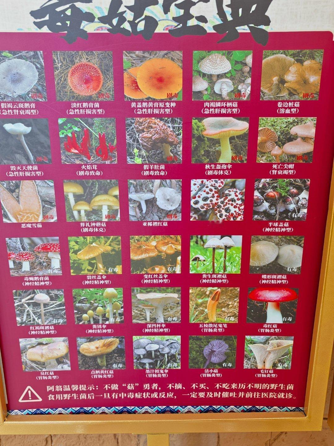 学校找找，一个五百呢 ​​​