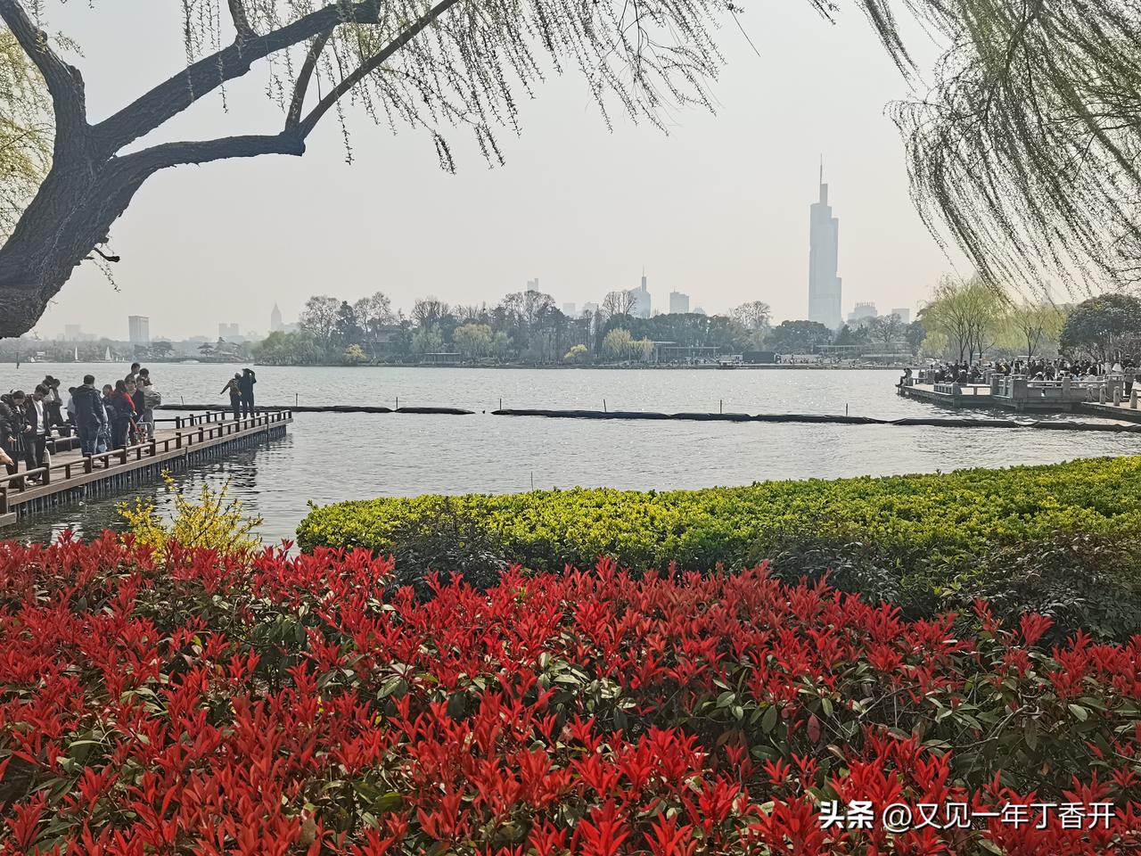 玄武湖之春

特别迷恋北国之春那首歌，让人说不出的眷恋生活，怀念母亲。

玄武湖