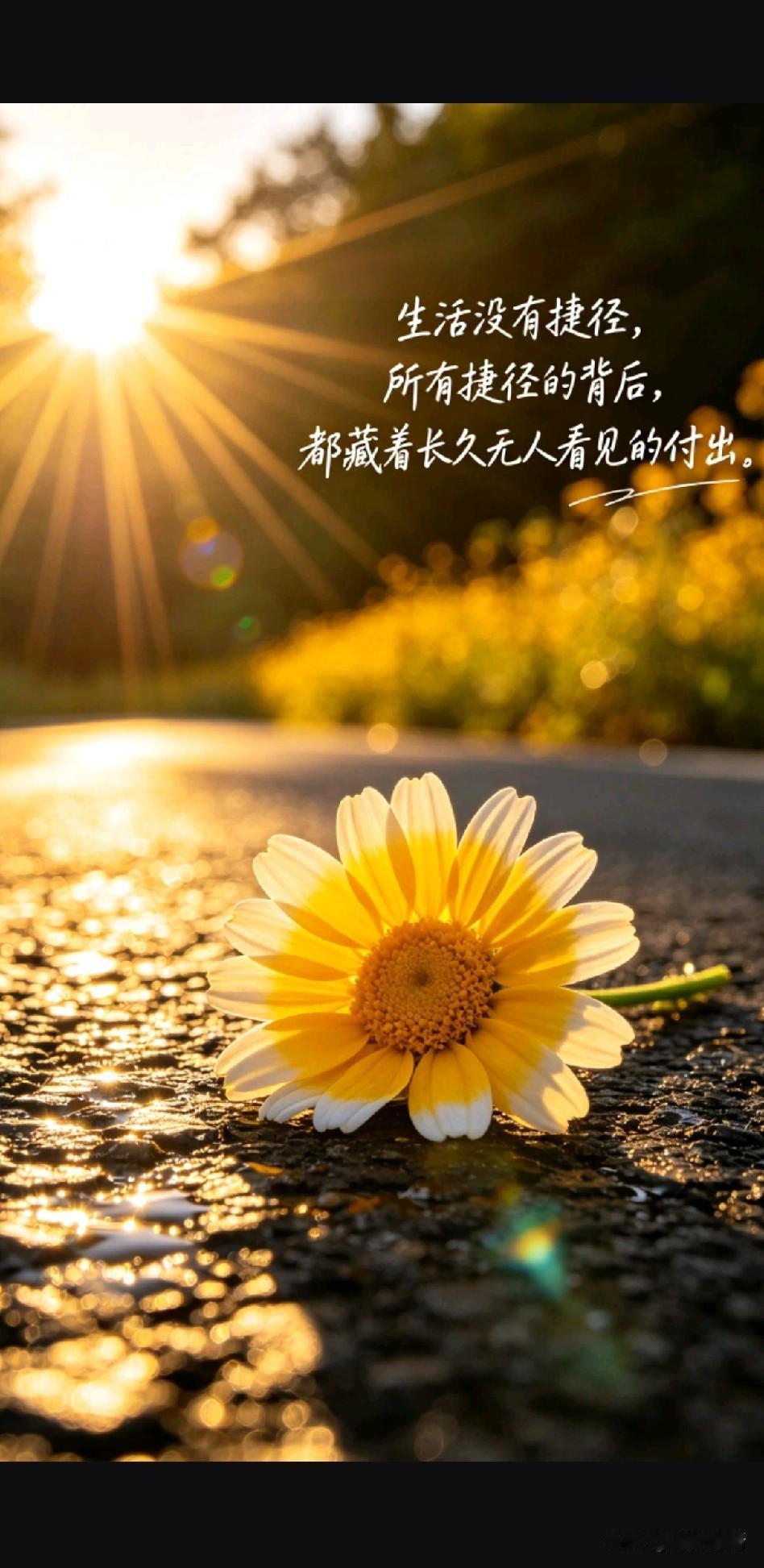 《世间无捷径，步步是修行》

山高岂有凌云梯，水深焉得踏浪行。
卢生终南徒笑耳，