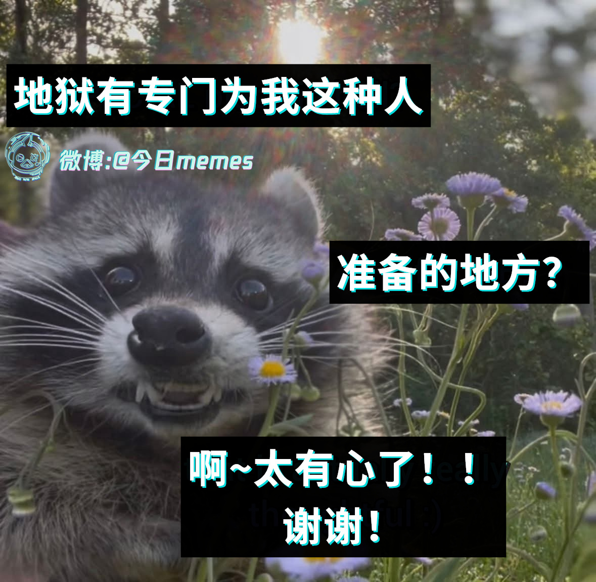 多谢（9gag）今日meme[超话] 今日memes ​​​
