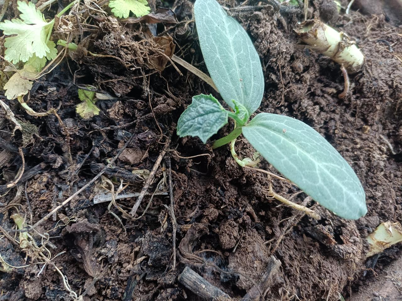 五十多岁做保安是不是人生很失败是的，可以这样说，人到50岁，还在找工作干的，9成