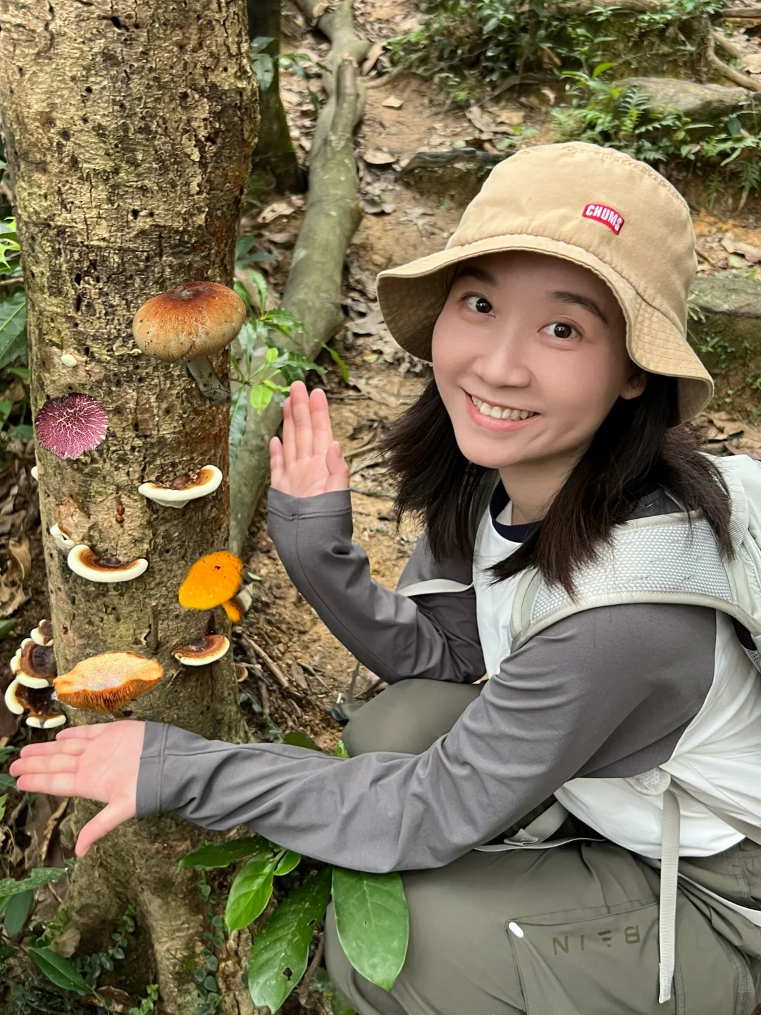 发现藏在森林里的小彩蛋🍄