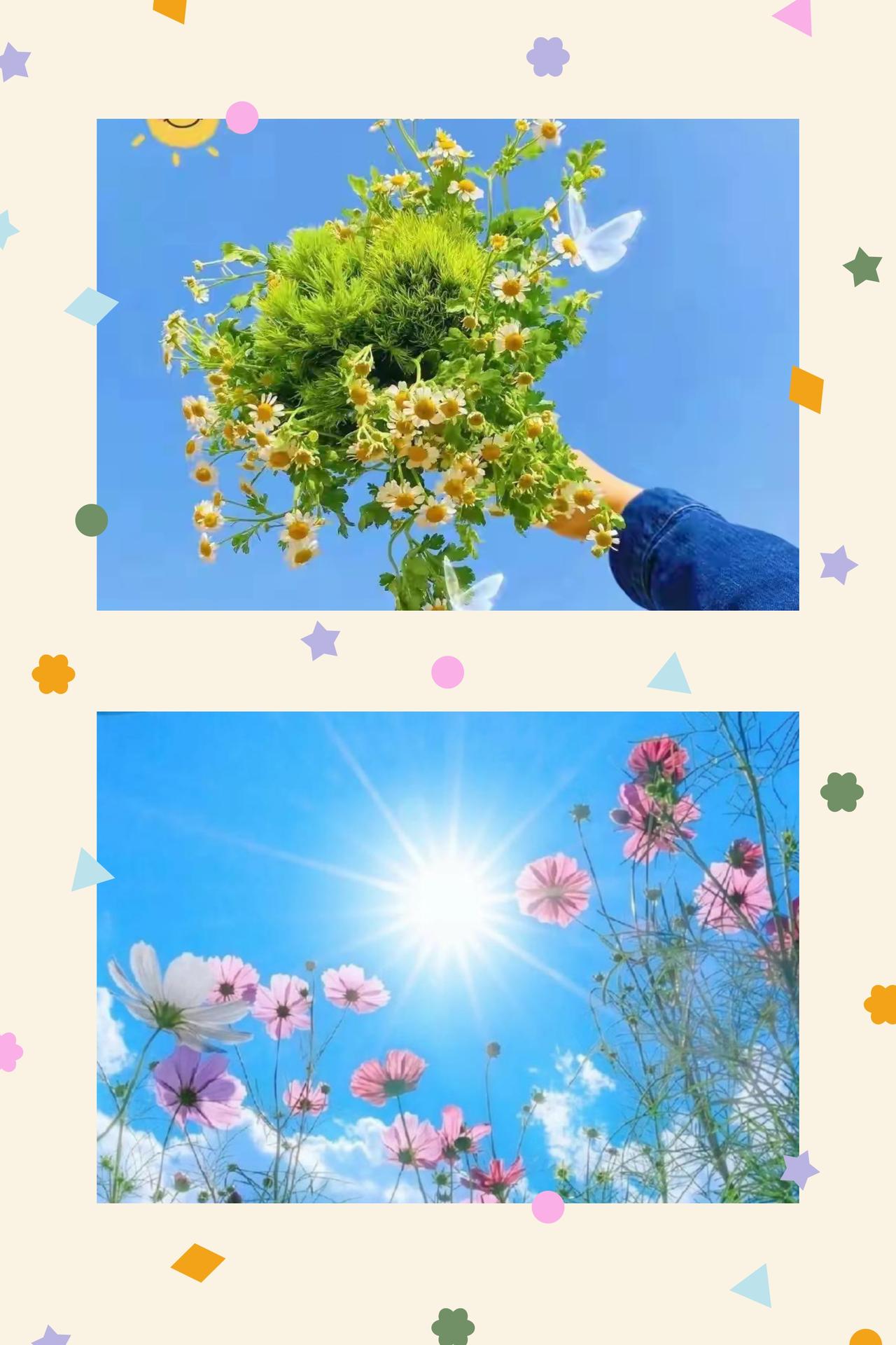 心向暖阳，温暖而生
心暖，是藏于心底的光，亦是对抗岁月风霜最好的力量。生活从非一