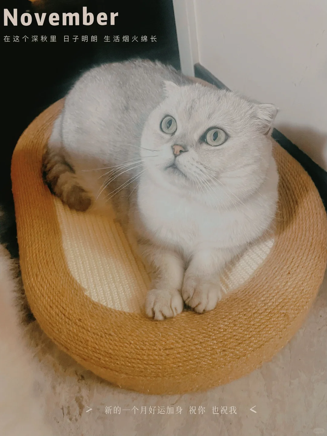 剑麻猫抓板