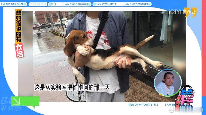#真人秀嘉宾收养实验犬4年长胖14斤#大家一定要善待每一只小动物，尤其是对于我们