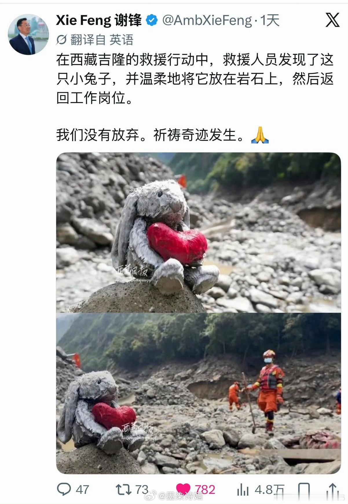 谢峰大使发被洗干净的小兔子玩偶 虽然但是，你们买热搜的人名字都打错了。 ​​​