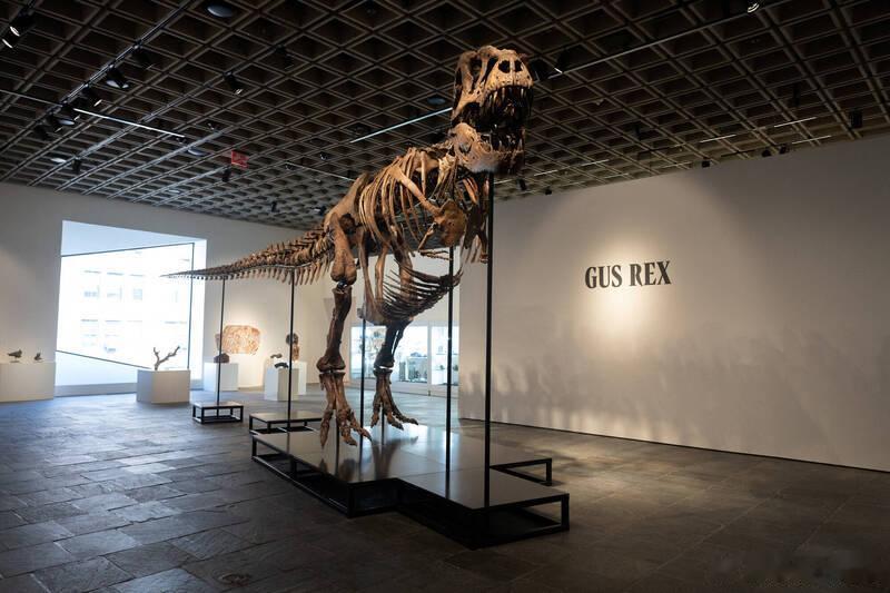 史上最高估价！6700万年前暴龙化石“格斯”苏富比估价最高达3000万美元海外新