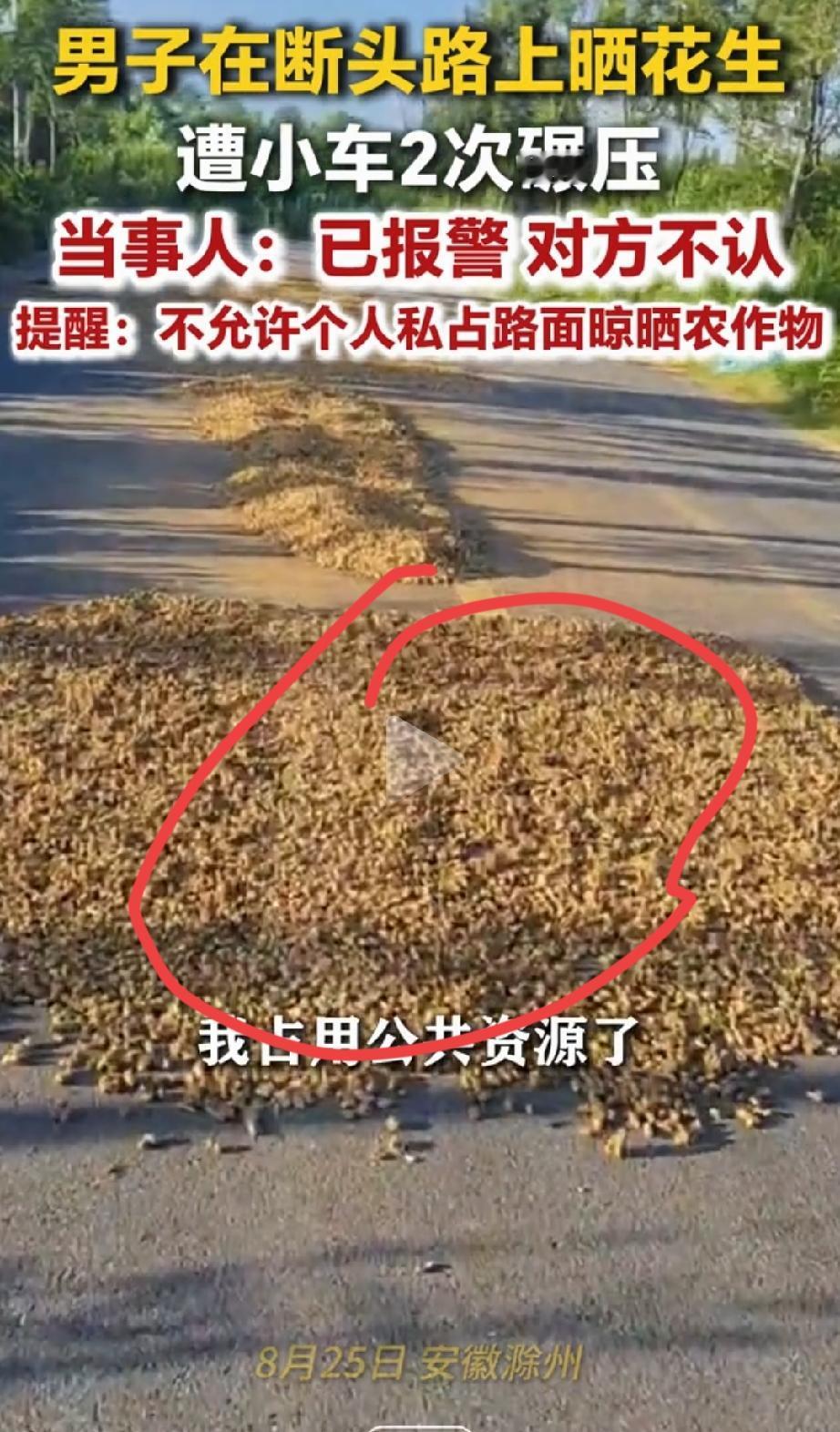“孰是孰非！”安徽滁州，吕先生把花生晾在了一条断头路上。一辆白色小车开过去，车轮