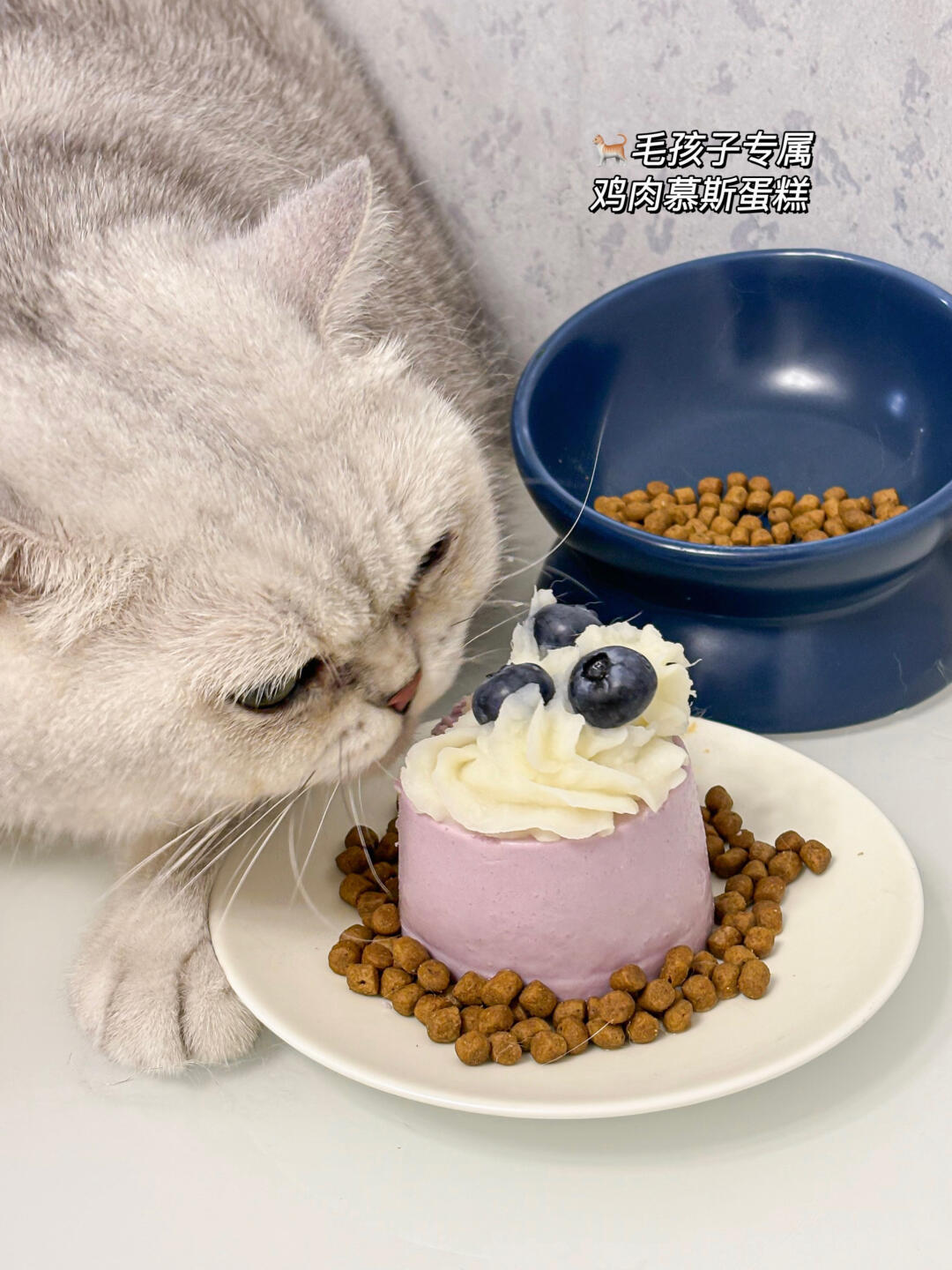鲜蒸大法好🫡一招拯救挑食脆皮小猫🐈