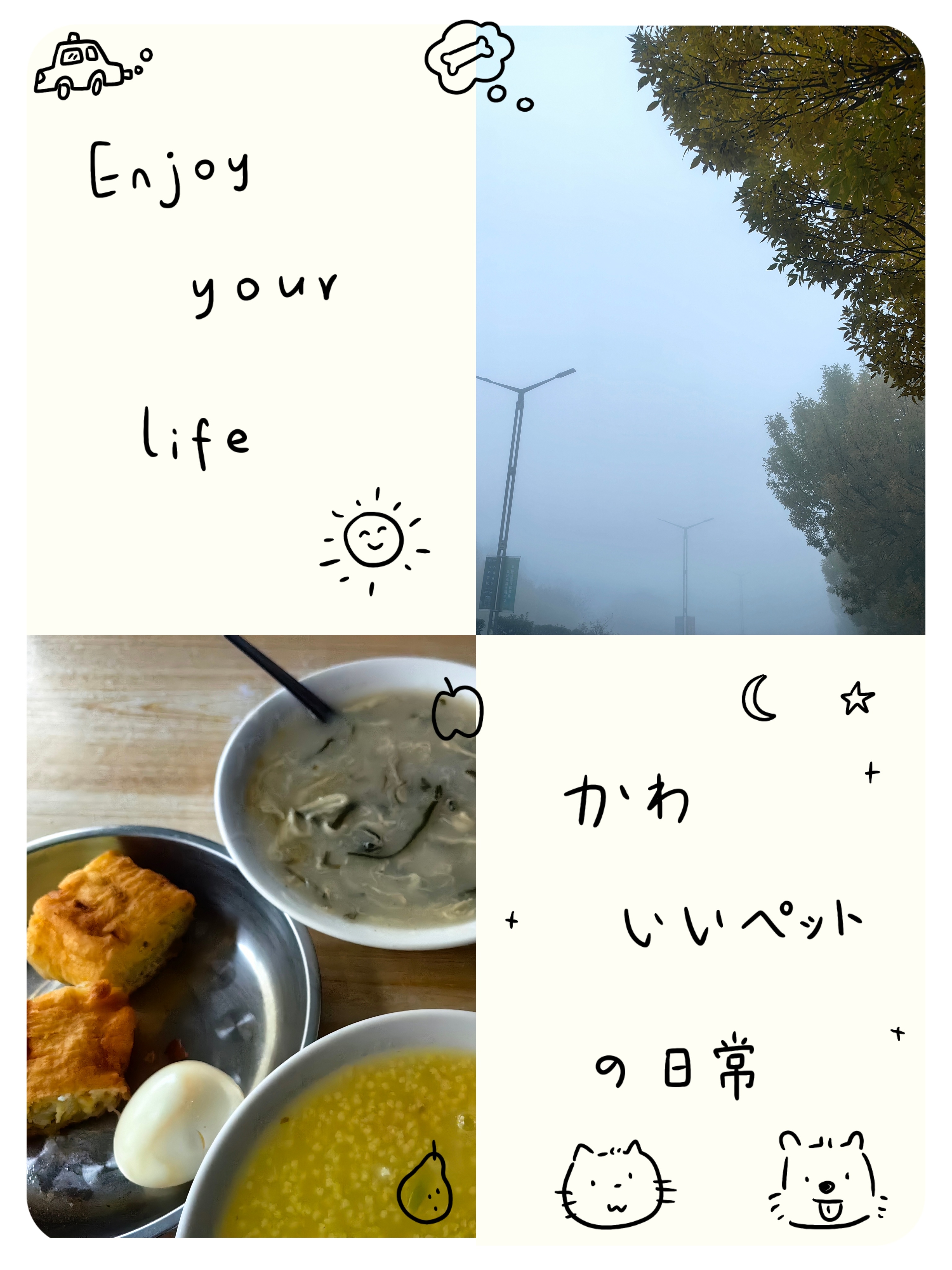 *在路上*大雾，比在神农架的雾还浓...双蛋布袋+白胡辣汤，好吃...河南濮阳.