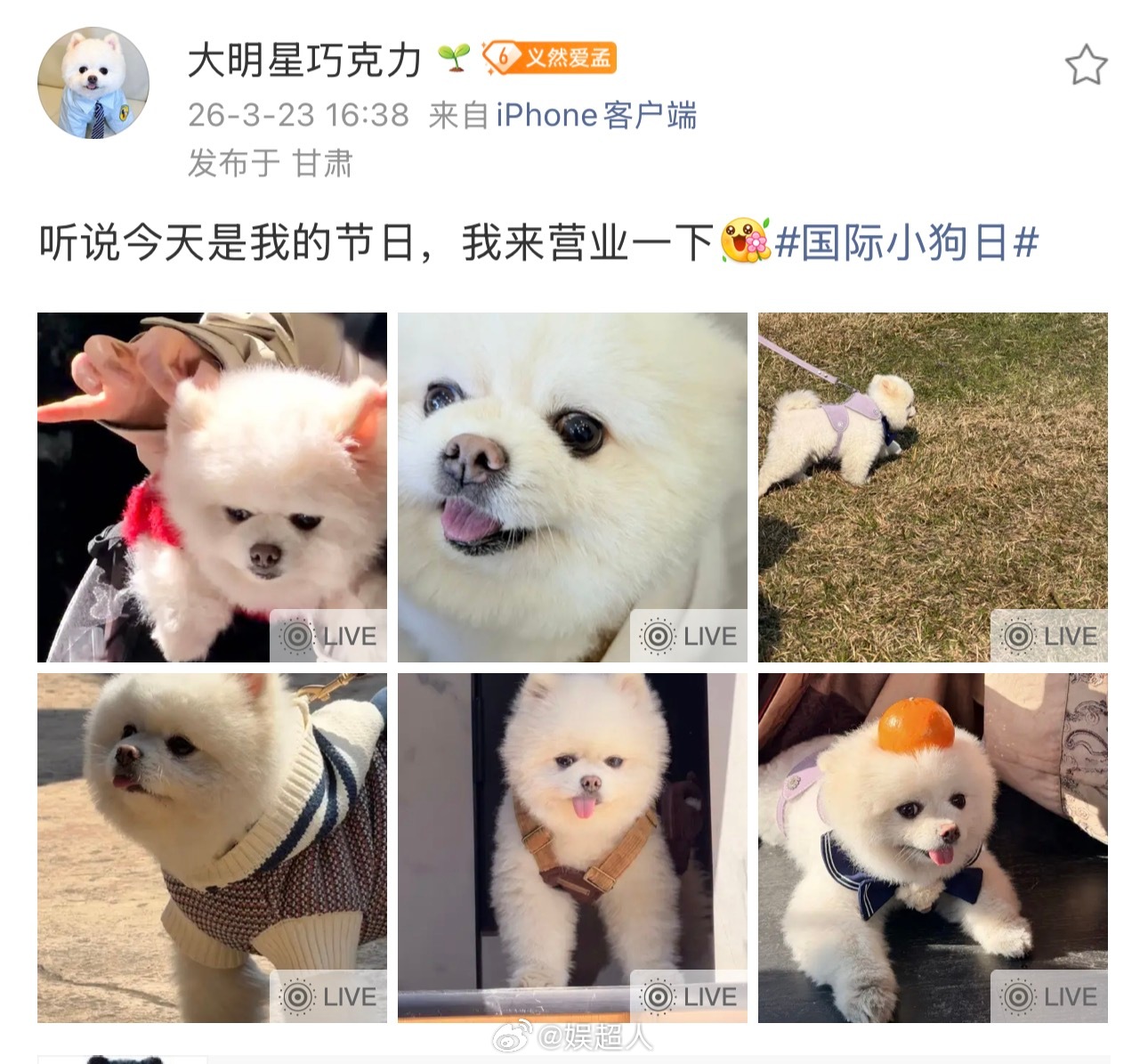 孟子义祝巧克力节日快乐孟子义想巧克力了 孟姐来祝巧克力节日快乐啦我们巧克力要一直