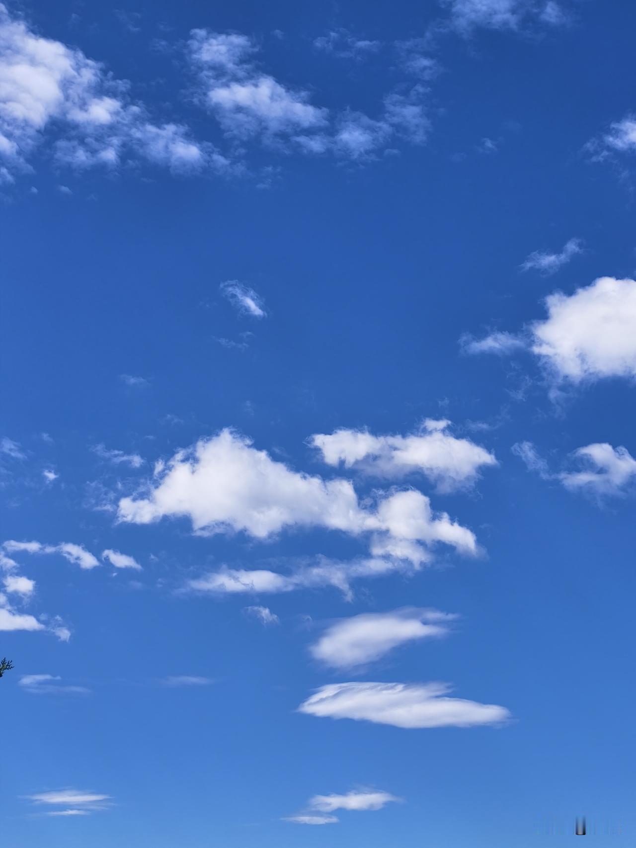 上传一张你手机里天空的照片吧随手拍