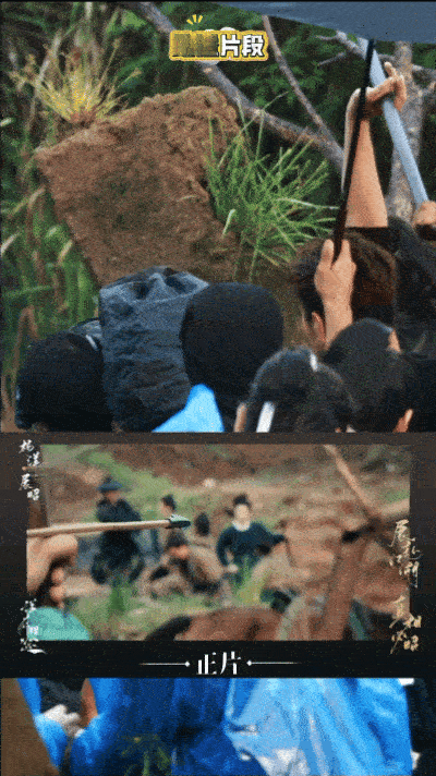 杨洋打戏被叫杨一条武指曾多次夸赞杨洋肯拼能打，如今这高强度动作戏能一条过，全是日