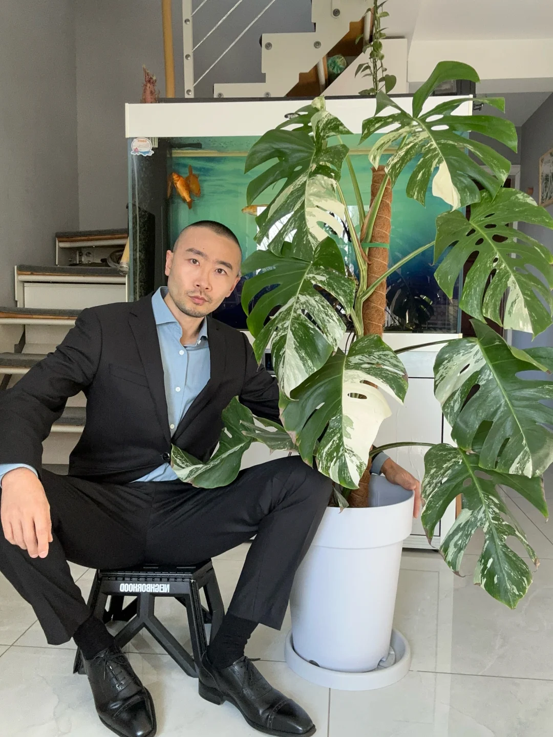 怎么办？砍还是继续养？