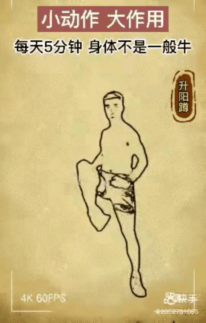 小动作大作用，每天5分钟身体不是一般牛。
·升阳蹲：小动作大作用，建议40岁以上