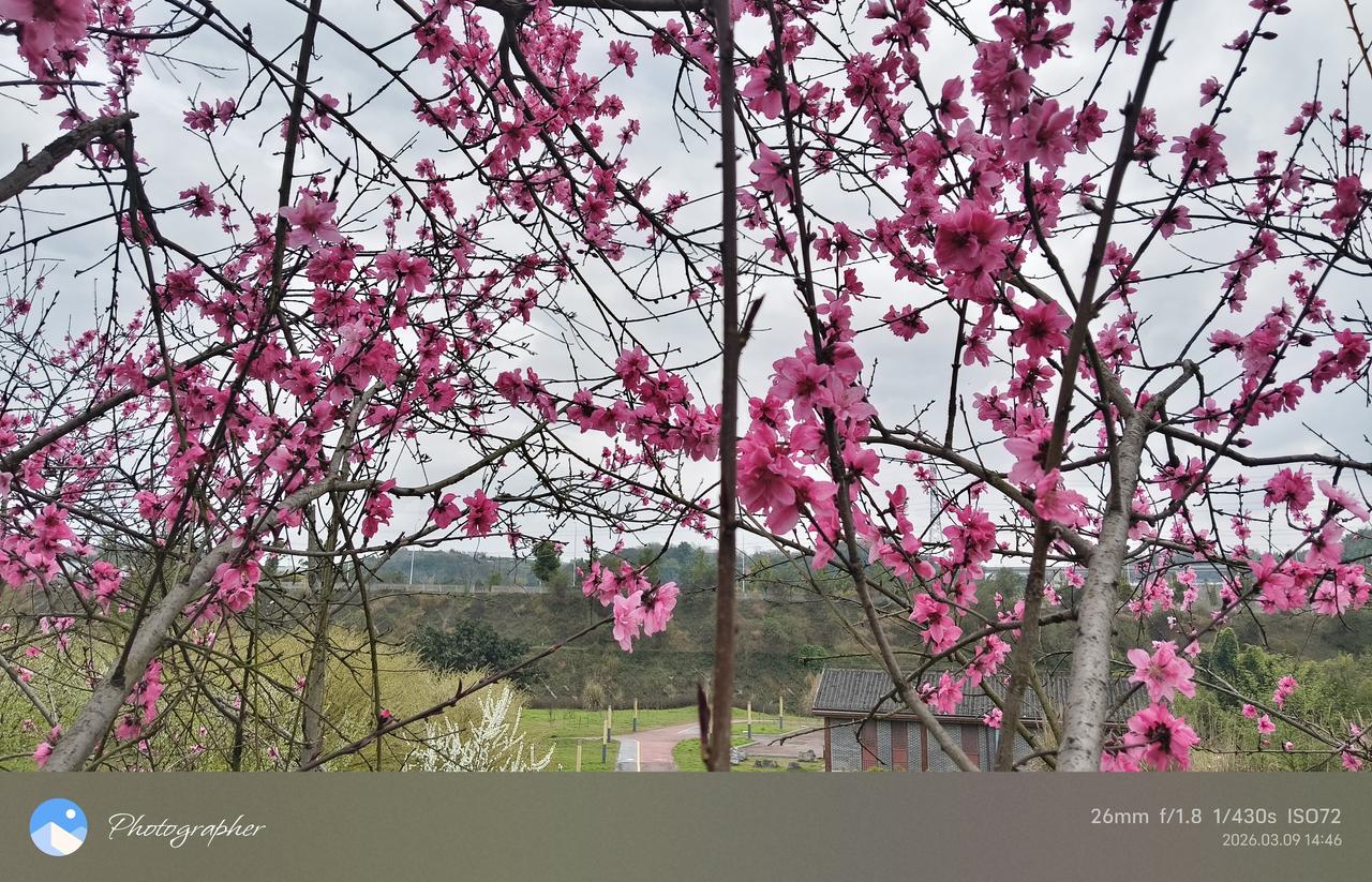 晒晒你的原创摄影作品