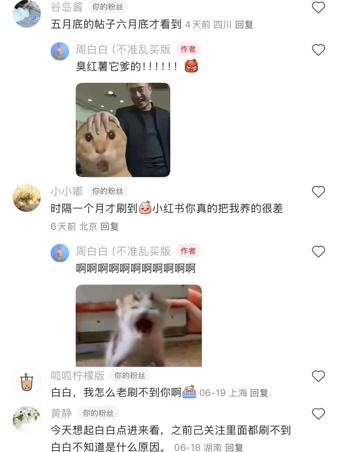 白家军能刷到就进来吧！！！