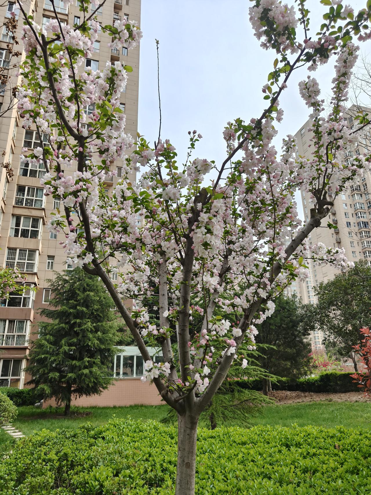 我怀疑自己是否患上了节日焦虑症。别人遇上节日，欢喜得不行，要么安排出行游玩，要么