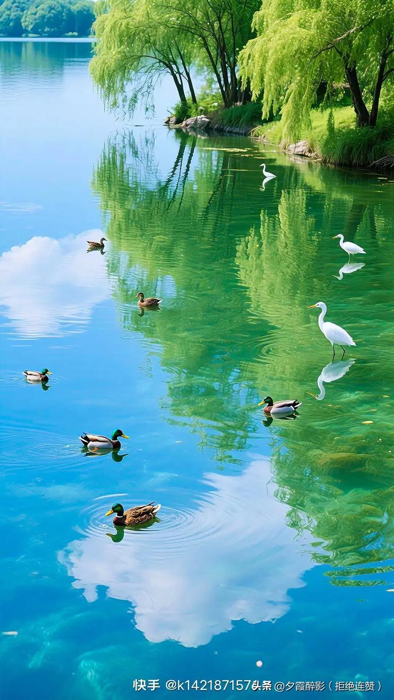 描写春雨美景的四字词语

春回大地
春暖花开
春意盎然
春色满园
春光明媚
生机