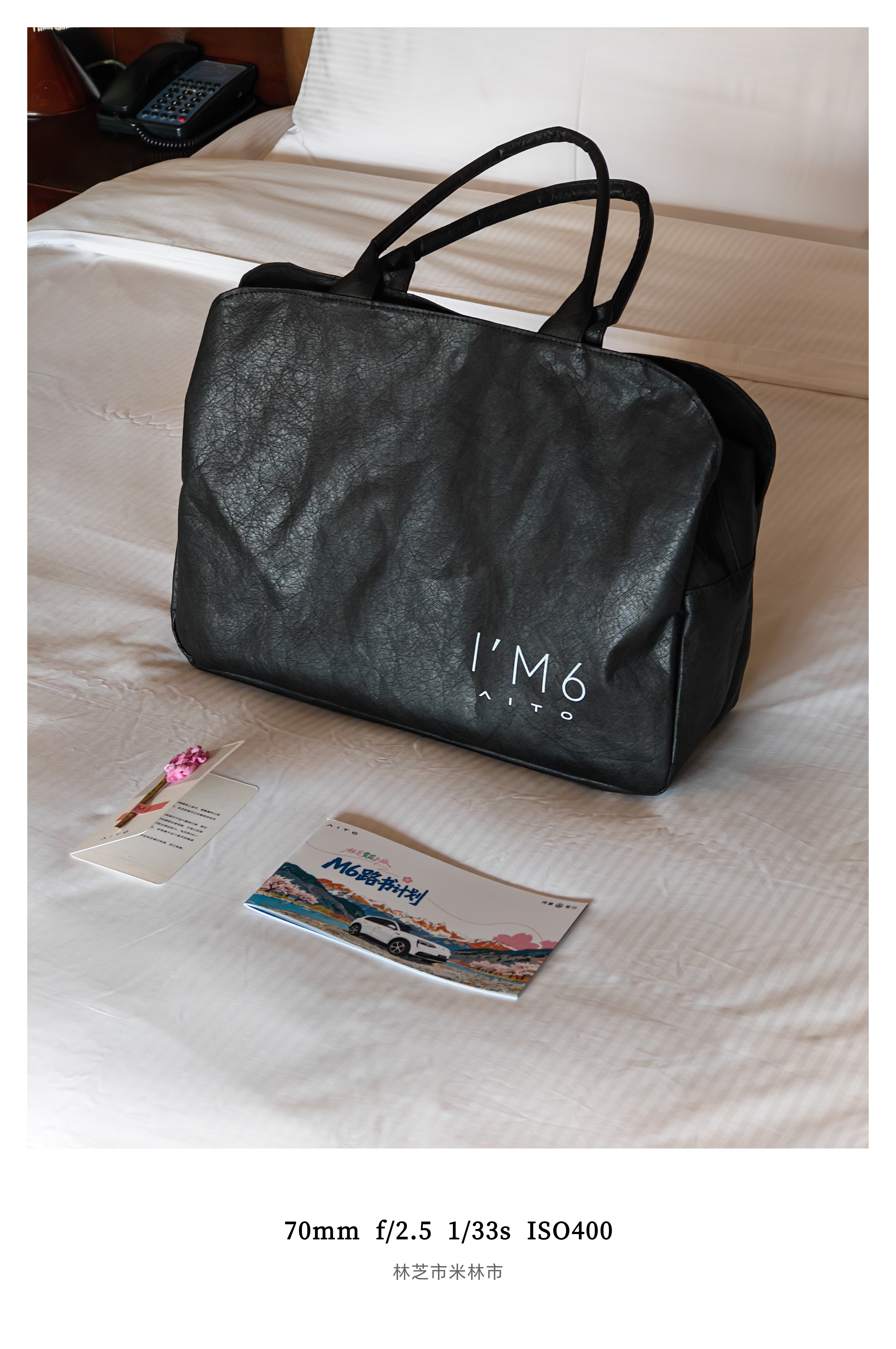 高原睡眠第一晚，今天早点休息明天要开着问界M6开启赏花之旅朋友们对这辆车有什么关