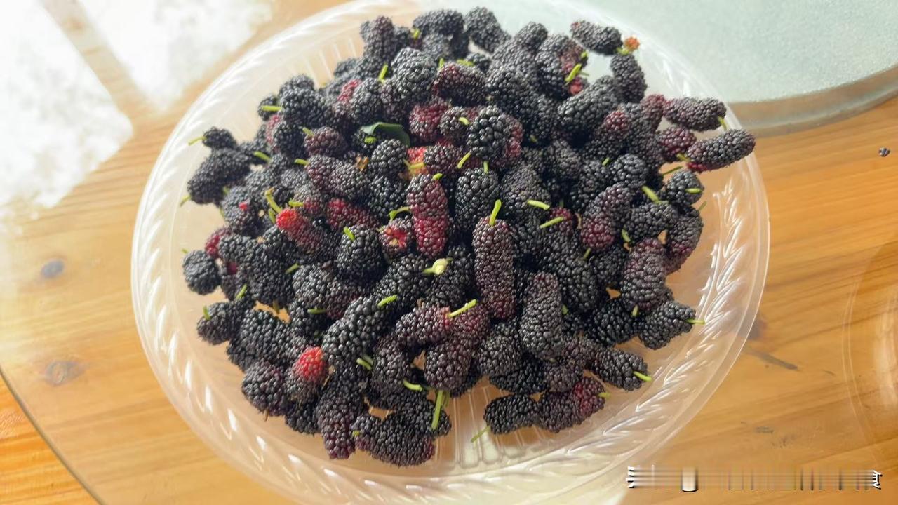 入春了，中老年人要管住嘴
五吃五不吃:

五吃:

1、桑葚。

2、菠菜。
