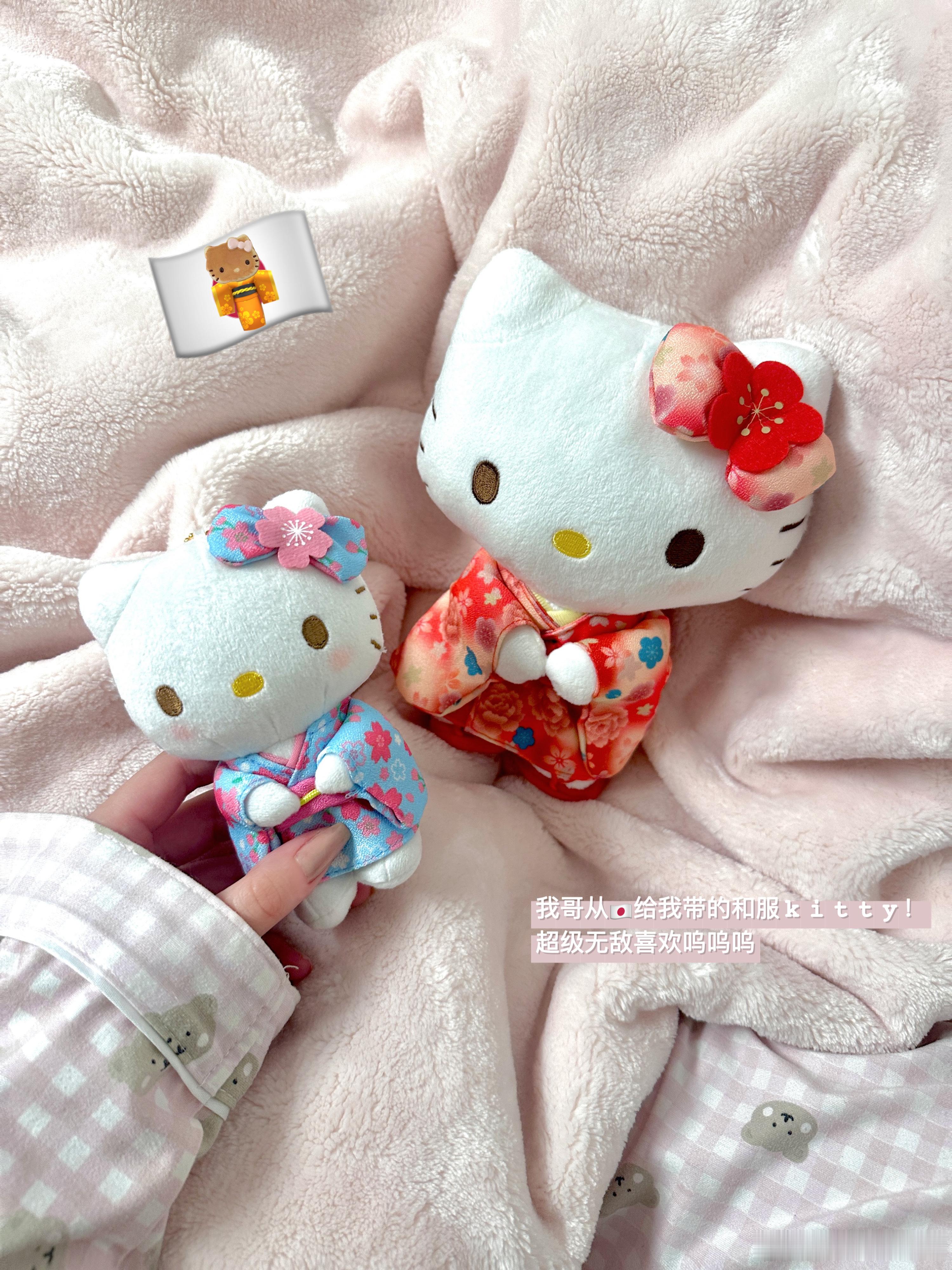 pl🍪g ◍˃ᵕ˂◍ 除夕快落～ 