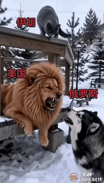 为啥一看见这GIF我脑海里就响起了：
波斯猫眯着他的双眼
波斯猫踮着他的脚尖
波