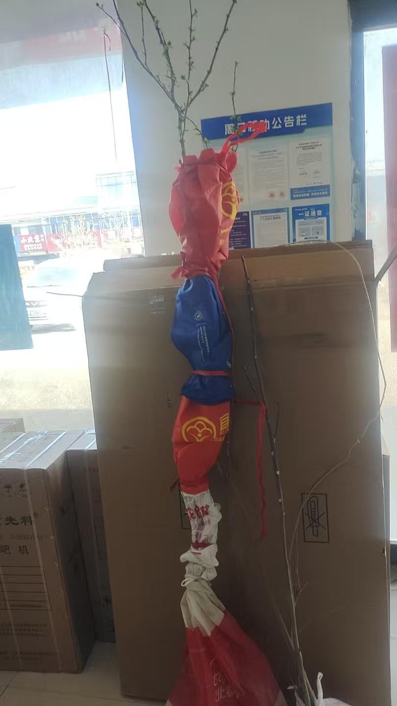 看看我的老朋友给我送的树
现在是栽树的季节，老家的院子准备种上几棵吃菜的树，我给