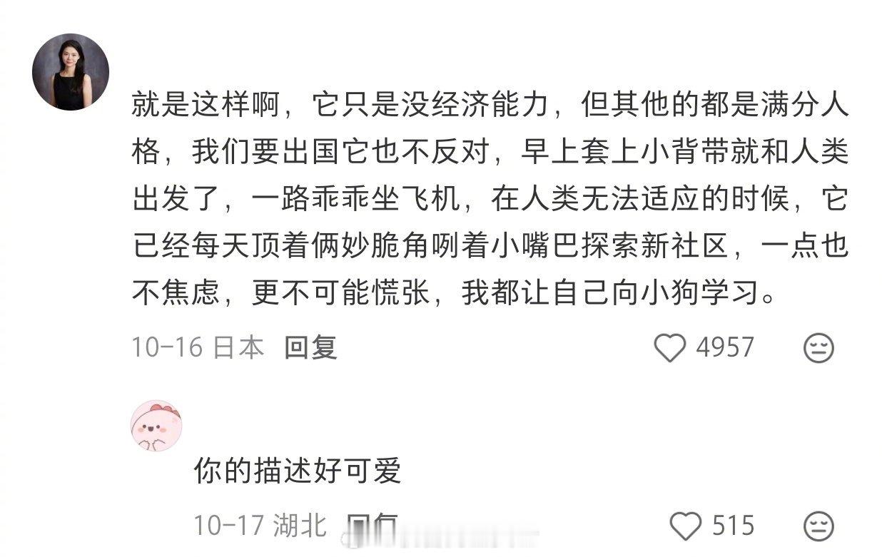 狗狗就是没有经济能力但有完整人格的室友生活趣事狂想曲我的幽默灵感片场 ​​​