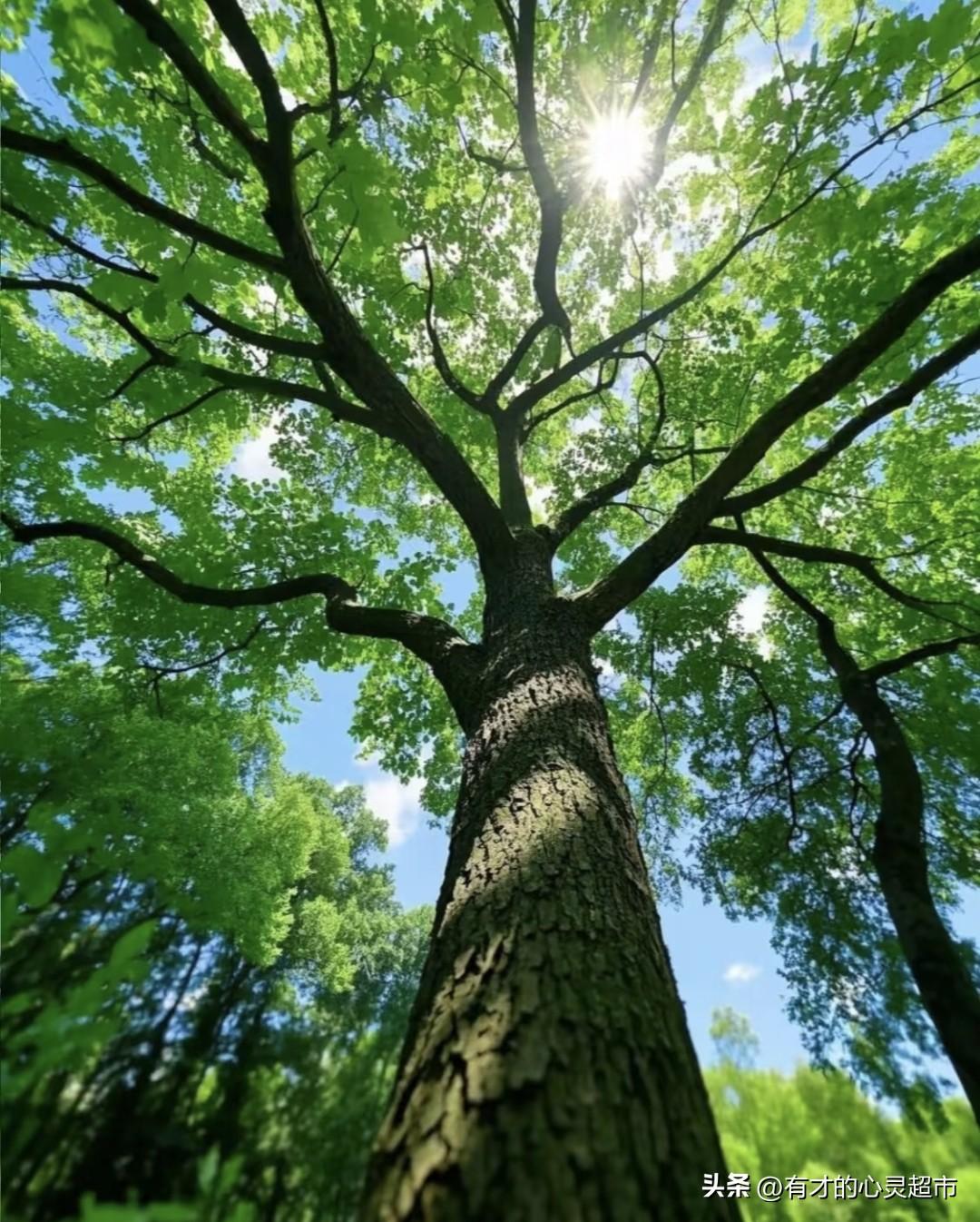 写作，对我而言是一场持续一生的修行。从小学捏着铅笔的懵懂，到人到中年笔耕不辍，这