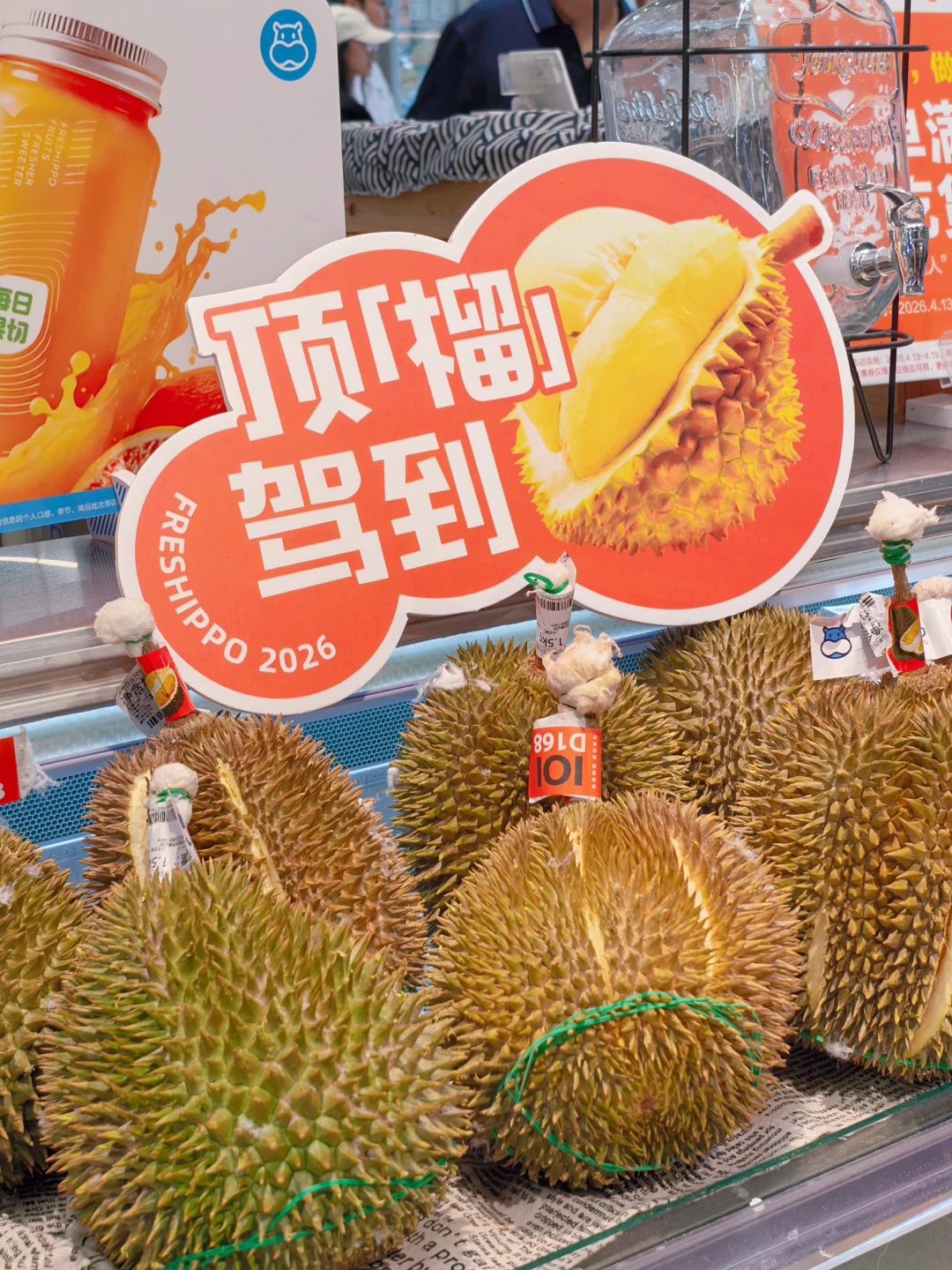 榴莲脑袋狂喜！顶榴驾到！