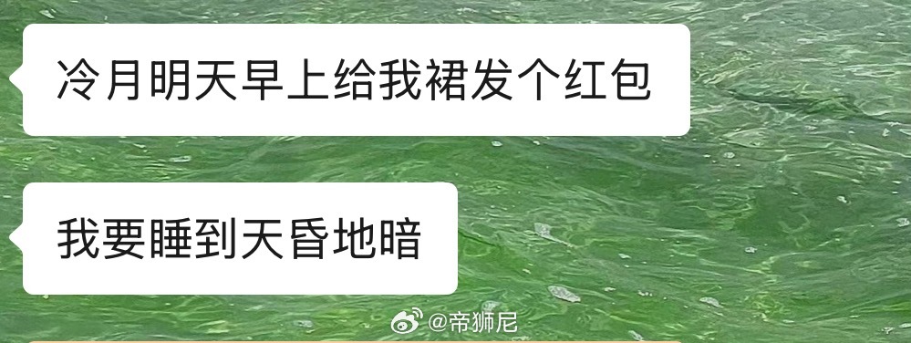 小软猪醒了没有