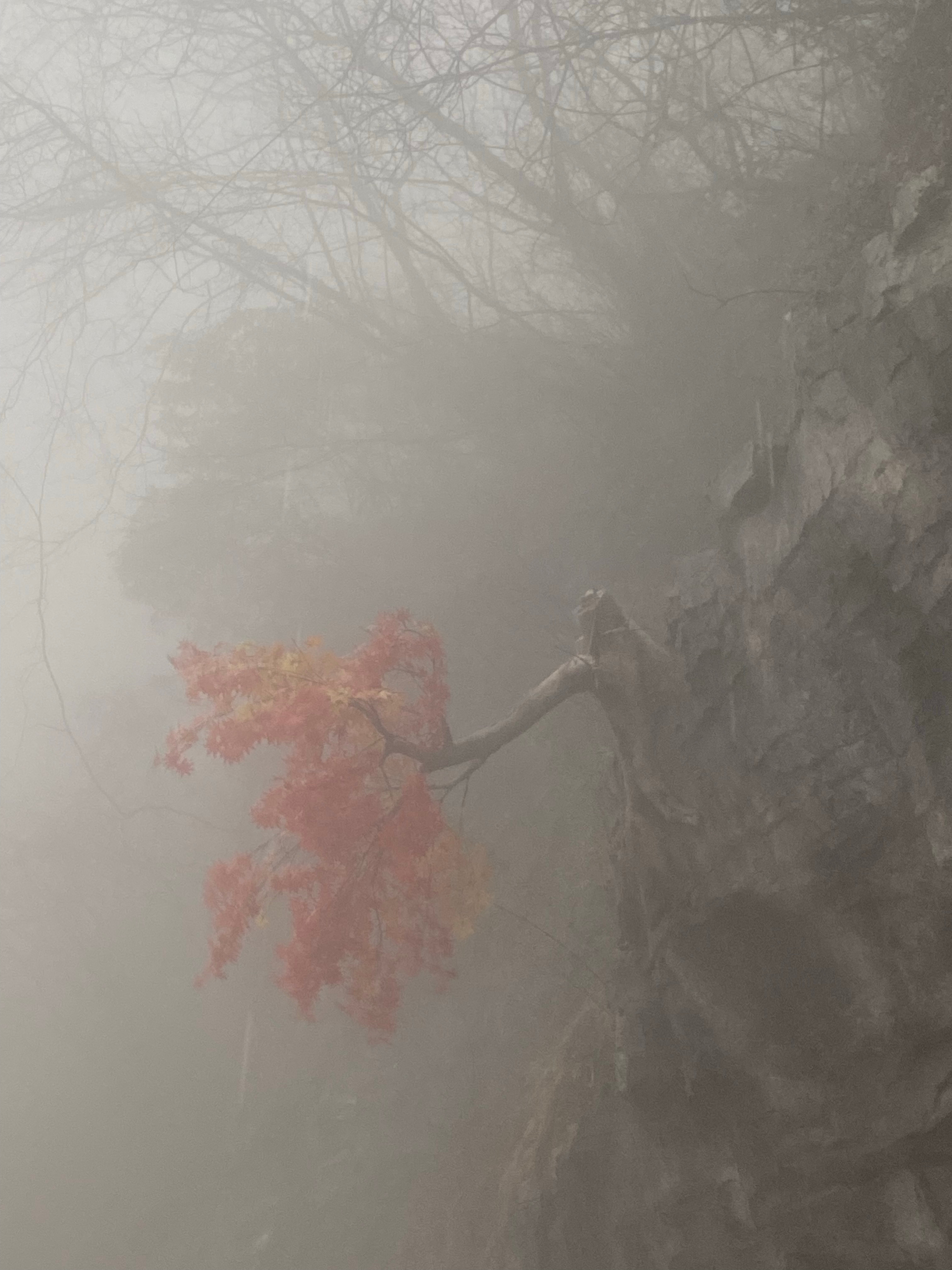 “ 大年初七 · 迎七喜 … ” 张家界·张家界天门山旅游景区