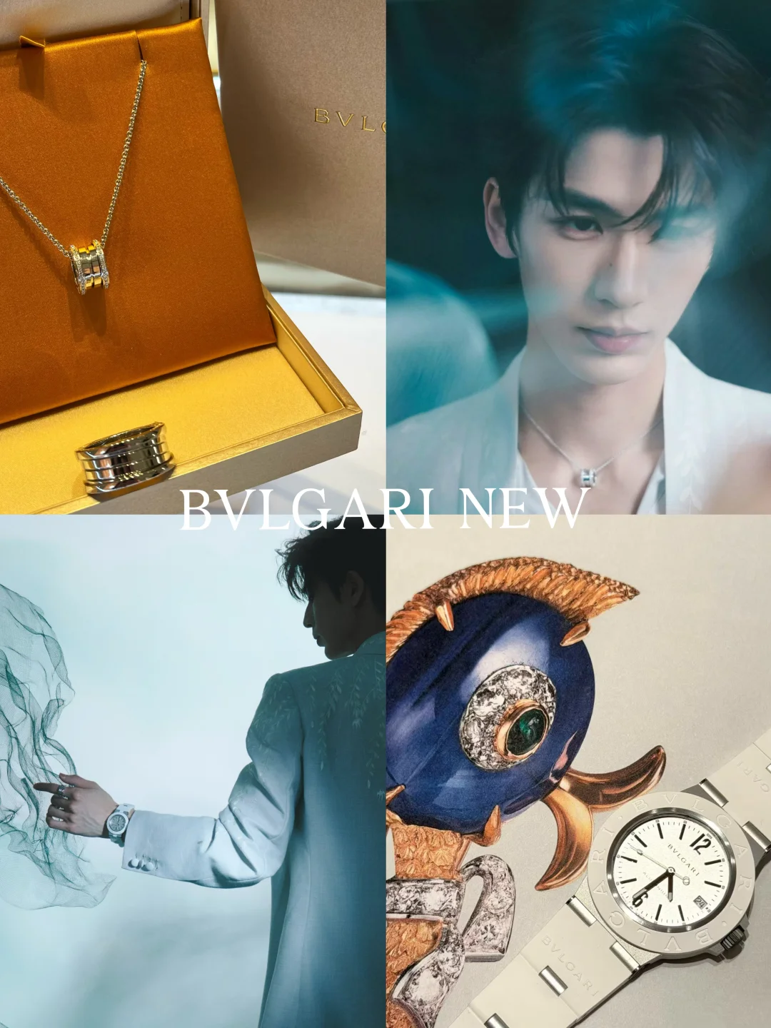 来宝格丽，张凌赫同款Get！！！