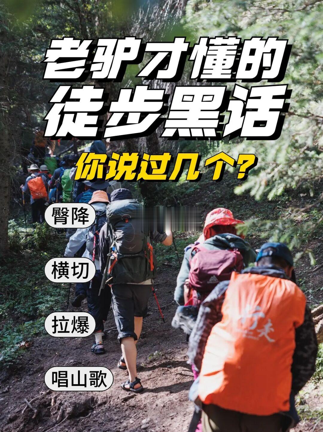 这些老驴才懂的“户外黑话”💬你知道几个？