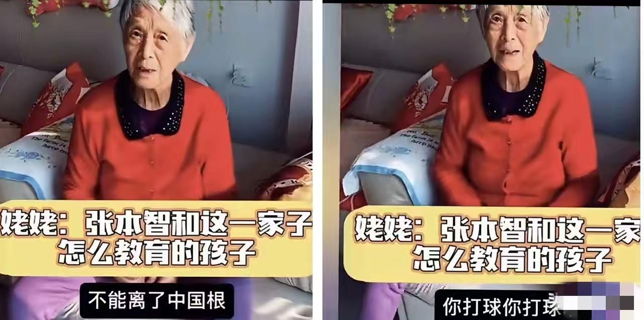 张本智和姥姥太敢说了！
 直戳痛点：打球就好好打，掺和政治算什么事！痛批爹妈没教