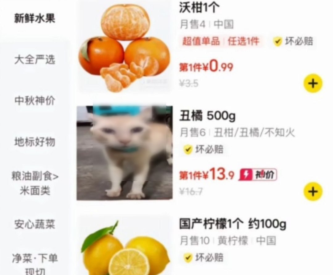 丑橘…不丑…… 