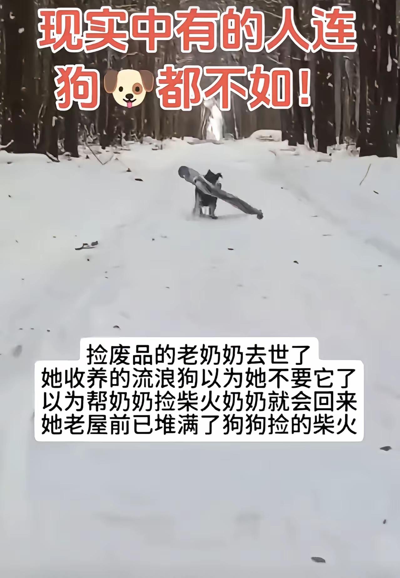 看了心里一抽一抽的疼……[泣不成声]