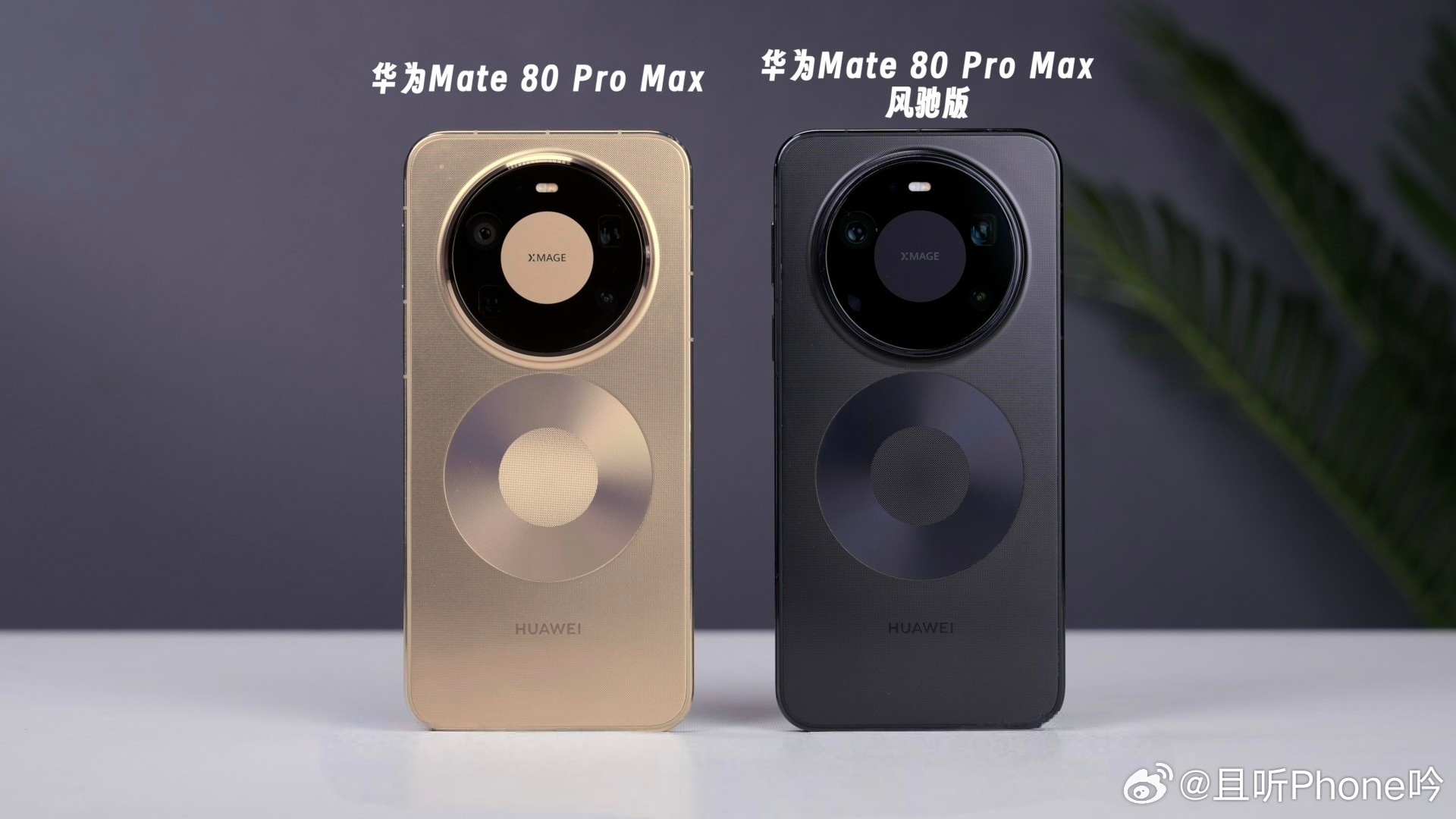 此前我们对比了风驰版和Pro Max的区别，如图1的四点，但贵了500块钱。很多