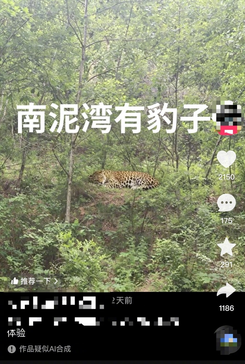 #延安辟谣南泥湾发现豹子#【延安回应“南泥湾有豹子”：帖文去年已发布，基本确定为