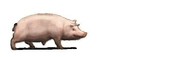 ​​​