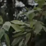 CCTV6 晚安，有点累了人们总会把有意义的生活和做完一桩一桩事儿联系在一起，但