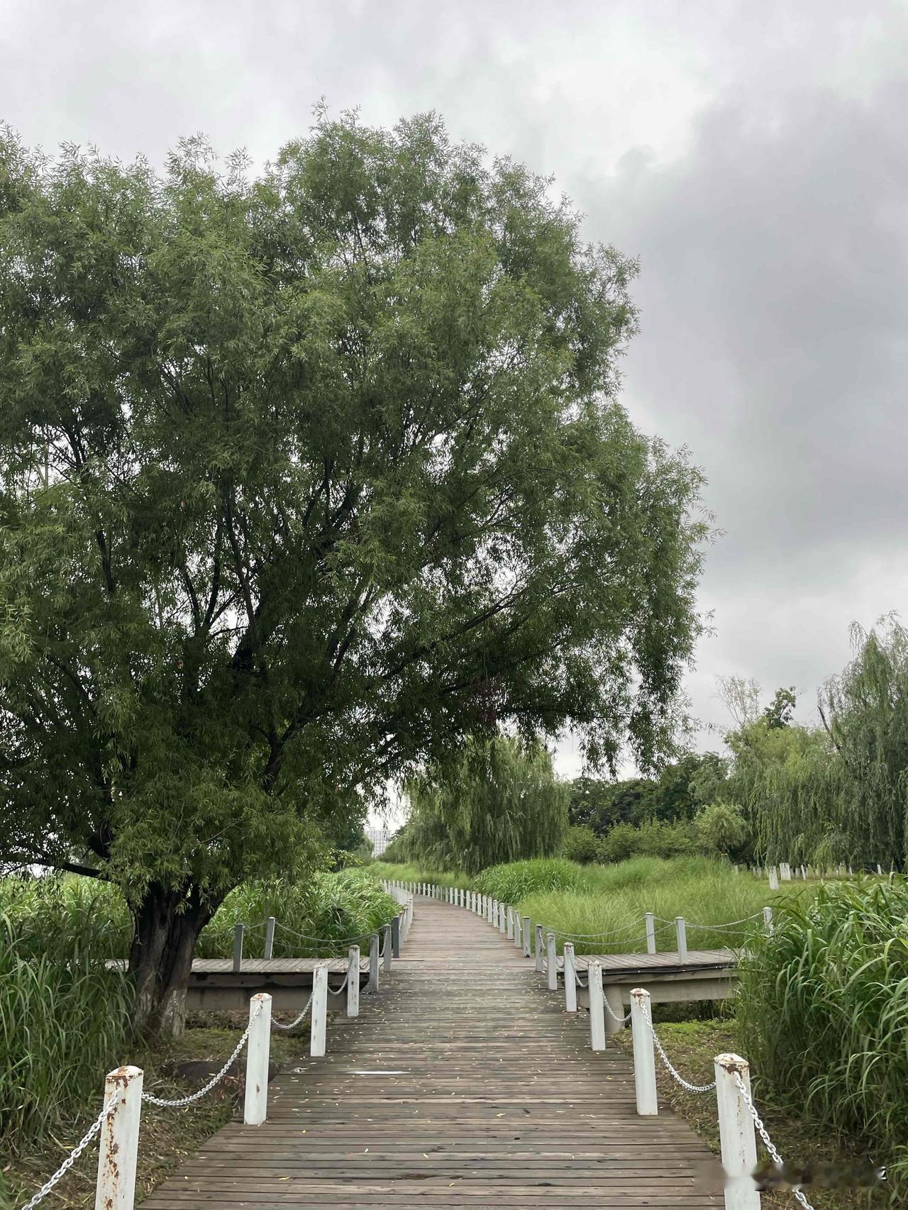 每日清晨，愿你被幸福和快乐包围，让美好的祝福陪伴你走过每一个清新的早晨，开启幸福
